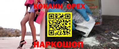 прущие грибы Камышлов