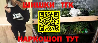 прущие грибы Камышлов
